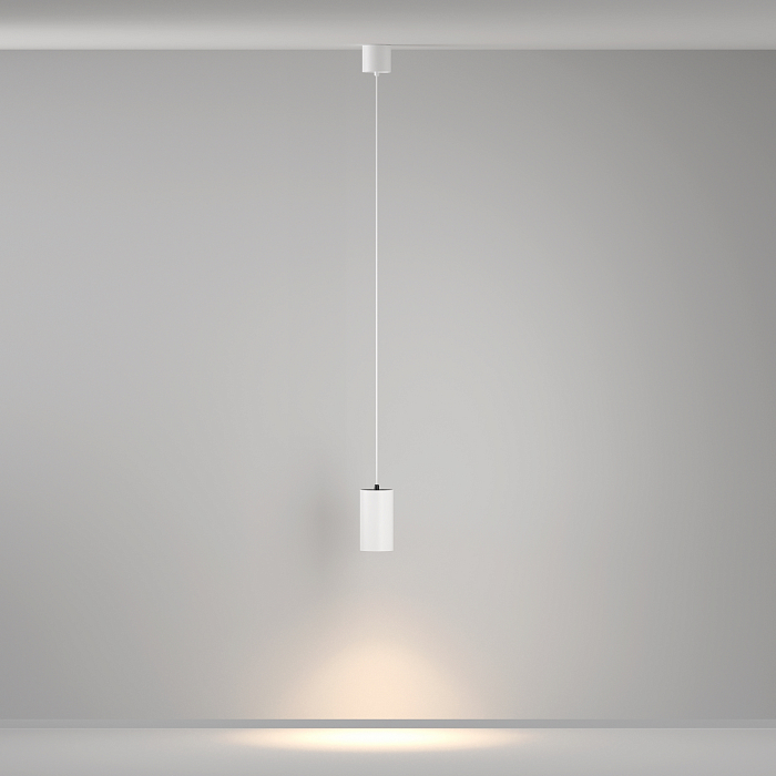 Светильник Maytoni P100PL-20W3K-W